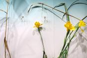 museum dhistoire naturelle blois 8-2025 2358